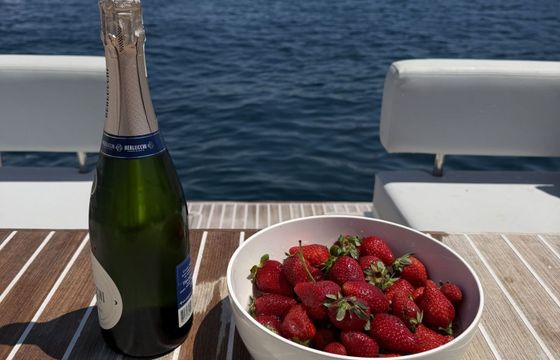 Motorboat Fiart Mare seawalker 33 260hp