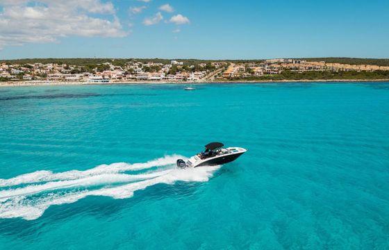 Motorboat Sea Ray 290 450hp