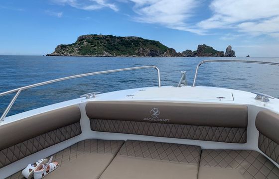 Motorboat Pacific Craft Open 750 225hp