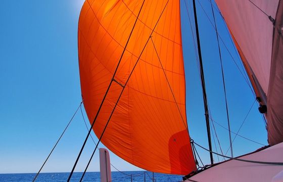 Catamaran Marsaudon composites Orc 42 13.86m