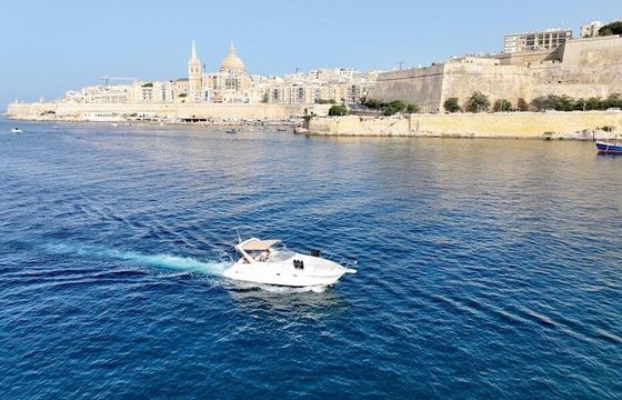 Motorboat Larson Cabrio 310 462hp