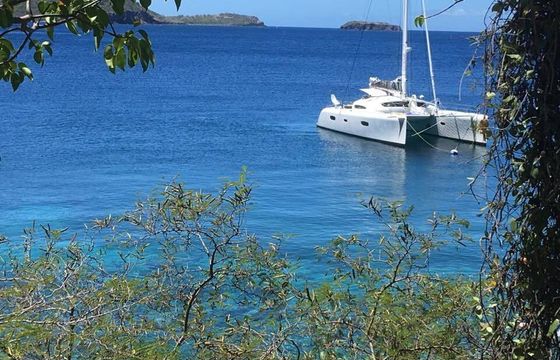 Catamaran XL Catamaran TS 52.8 16.1m