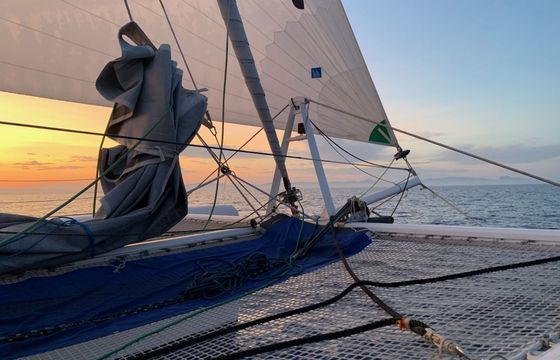 Catamaran XL Catamaran TS 52.8 16.1m