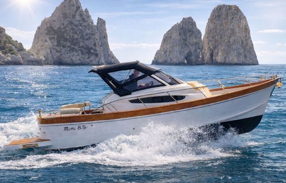 Motorboat private tour Gozzo 8,50 300hp