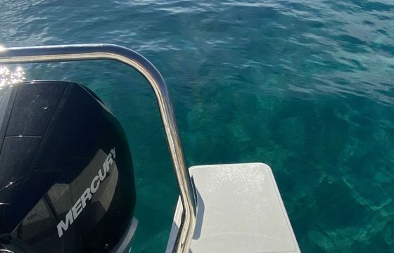 Motorboat Beneteau Flyer 9 500hp