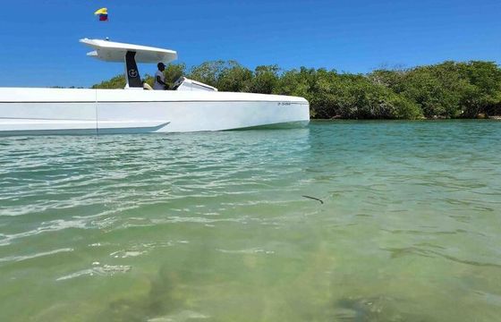 Motorboat Speed 39 1200hp