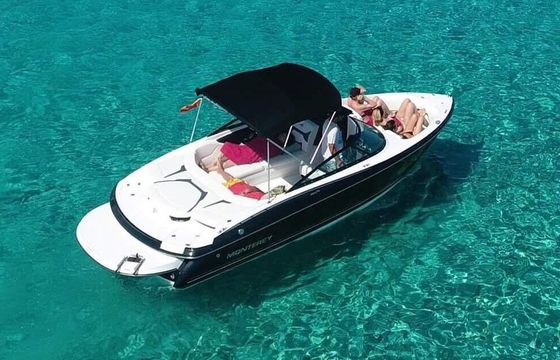 Motorboat Monterey 224 Fs 220hp