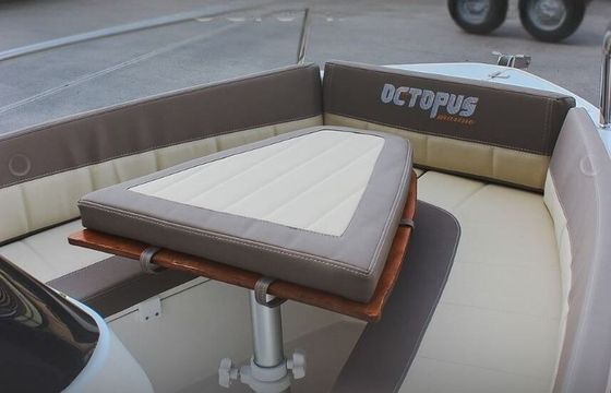 Boat without licence  Octopus 47 cc 15hp