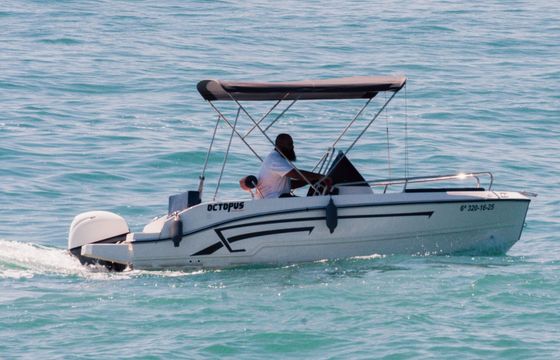 Boat without licence  Octopus 47 cc 15hp