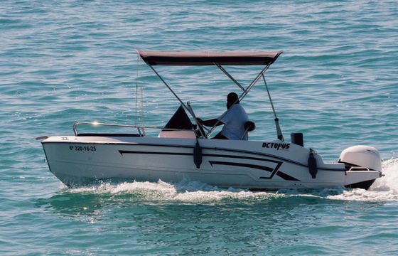 Boat without licence  Octopus 47 cc 15hp