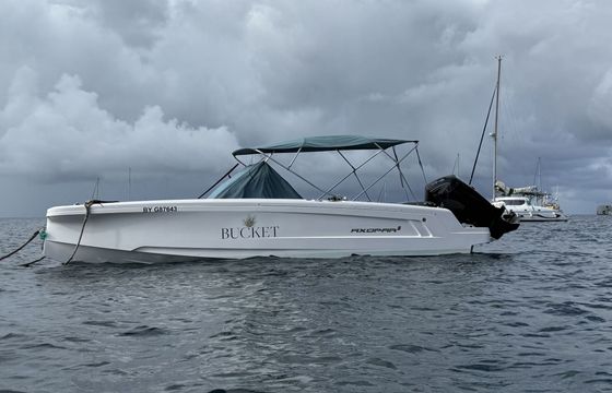 Motorboat AXOPAR 22 SPYDER 175hp