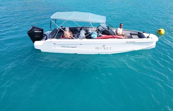 Motorboat AXOPAR 22 SPYDER 175hp