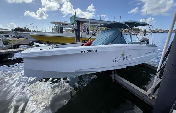Motorboat AXOPAR 22 SPYDER 175hp