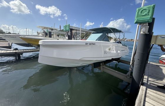 Motorboat AXOPAR 22 SPYDER 175hp