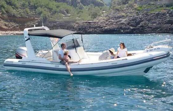 RIB Astec 800 250hp