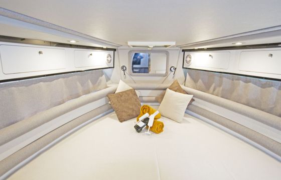 Motorboat Saver 330 WA 600hp