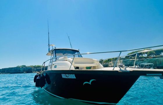 Motorboat portofino Marine 750 WA 400hp