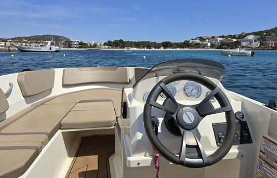 Boat without licence Bayliner Element M15 15hp