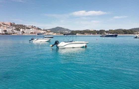 Boat without licence Bayliner Element M15 15hp