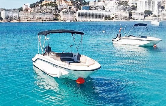 Boat without licence Bayliner Element M15 15hp