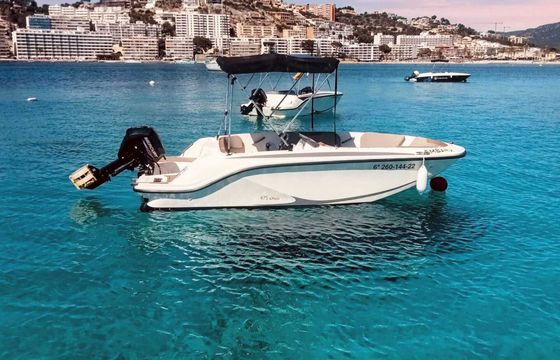 Boat without licence Bayliner Element M15 15hp