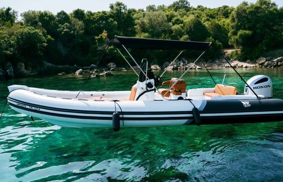 RIB Tiger Marine 7.4 250hp
