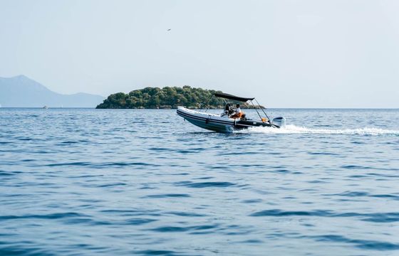 RIB Tiger Marine 7.4 250hp