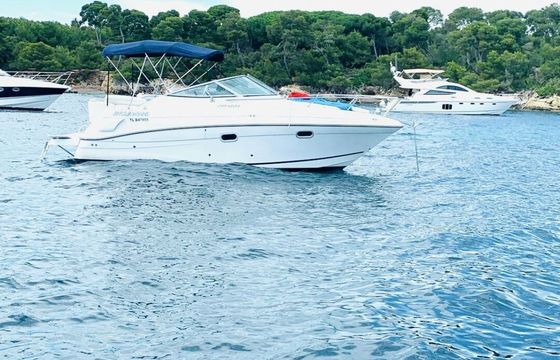 Motorboat Four Winns 248 Vista 320hp