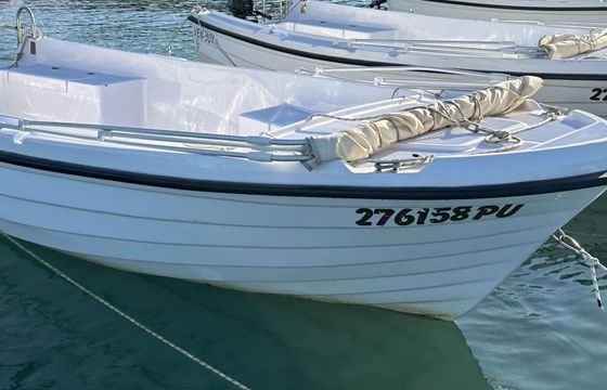 Boat without licence VEN 500 6hp