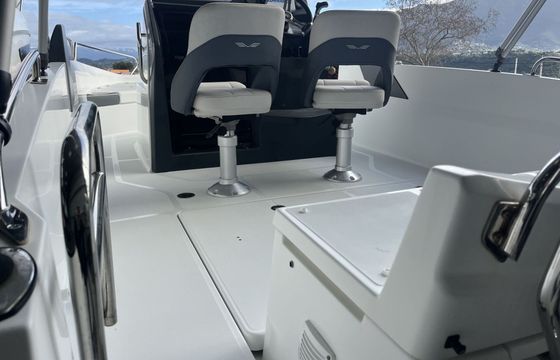Motorboat Beneteau Flyer 6.6 150hp