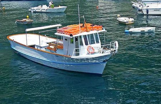 Motorboat Gatto trasporto passeggeri 300hp