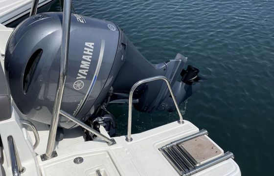 Motorboat Jeanneau Cap Camarat 6.5 Wa 200hp