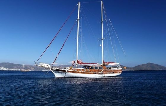Sailboat Custom Made Perrinita 25m