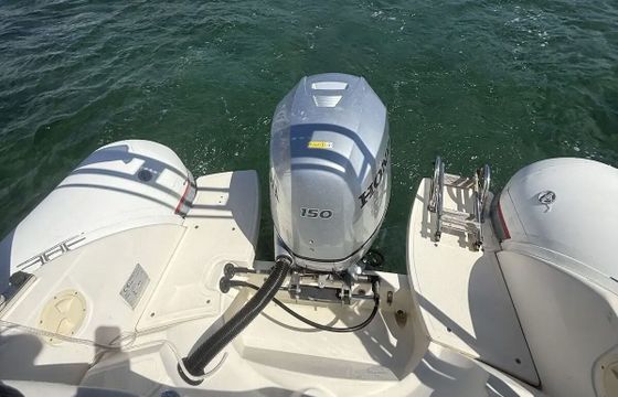 RIB Bwa 22 GT 150hp