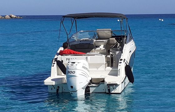 Motorboat Quicksilver Activ 805 cruiser 300hp