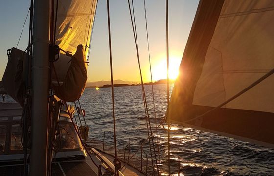 Sailboat Dufour Dufour 525 Grand Large 15m