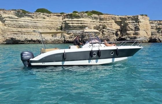 Motorboat Sessa Marine Key Largo 30 500hp