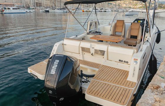 Motorboat Quicksilver 755 Sundeck 225hp