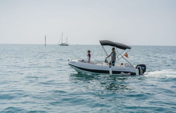 Boat without licence BARCO PRIVADO AVISTAMIENTO DE DELFINES 15hp