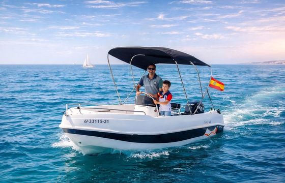 Boat without licence BARCO PRIVADO AVISTAMIENTO DE DELFINES 15hp