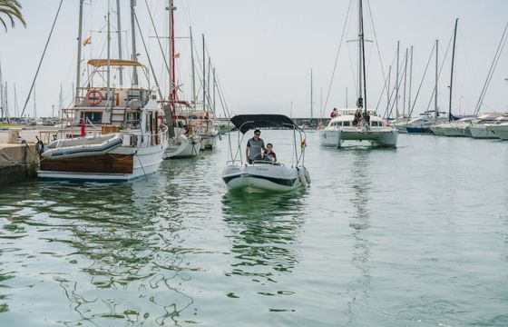 Boat without licence BARCO PRIVADO AVISTAMIENTO DE DELFINES 15hp