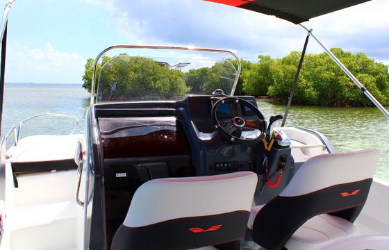 Motorboat Beneteau flyer 6.6 Sundeck 200hp