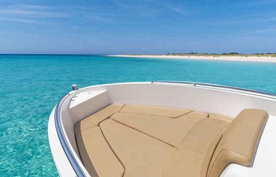 Motorboat Boats mak Cattleya 115hp