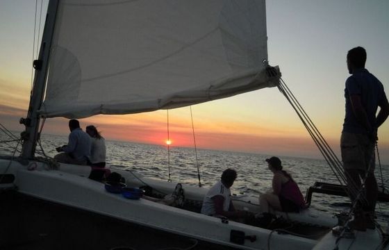 Catamaran DYS Rush 10 11m