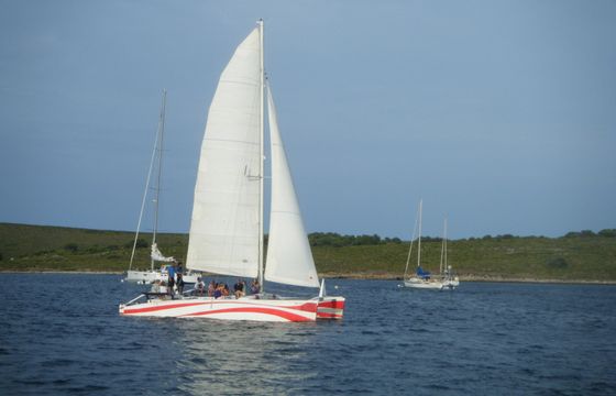 Catamaran DYS Rush 10 11m