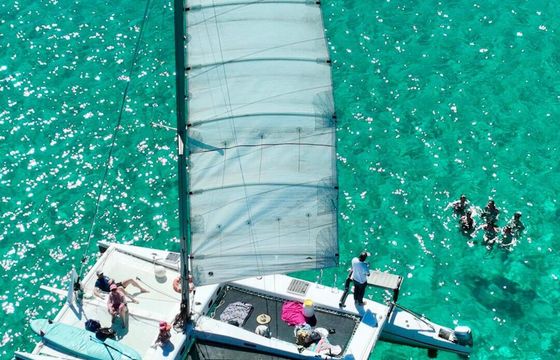 Catamaran DYS Rush 10 11m