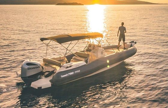 RIB Marlin 790 Dynamic Gray 250hp