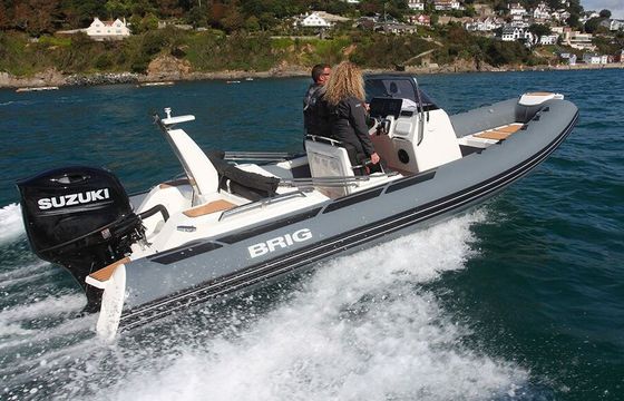 Motorboat BRIG EAGLE 8