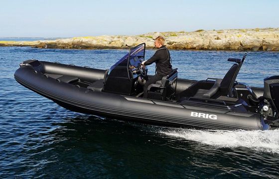Motorboat BRIG EAGLE 8