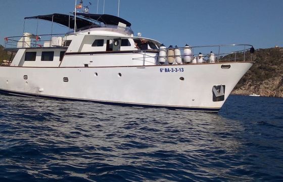 Motor yacht CUSTOM Trawler 60 440hp
